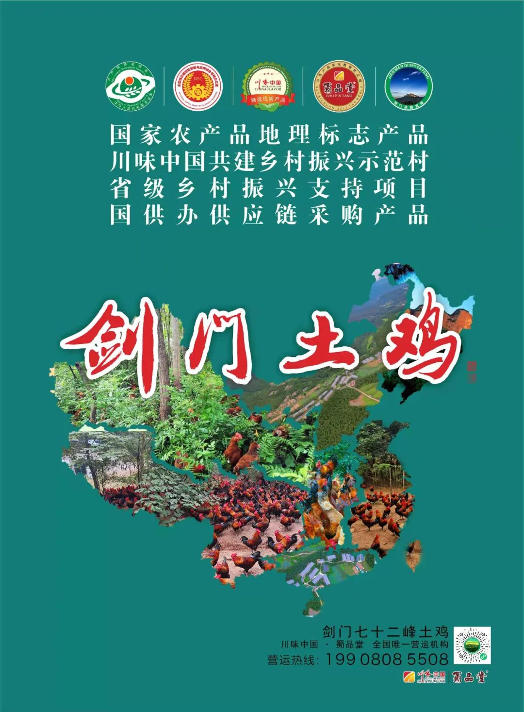 剑门土鸡今日上线啦,纯真美味等你来解锁!(图1) 剑门土鸡今日上线啦,纯真美味等你来解锁!(图1)