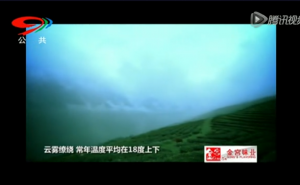 《茶道》——天府龙芽