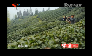 《味道四川》——茶马古道