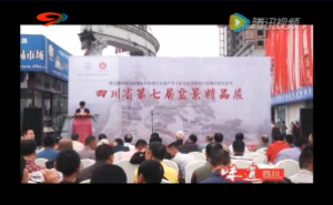 四川省第七届盆景展在温江开幕