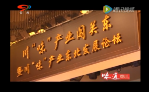 抱团闯关东 川味产业再谱新篇