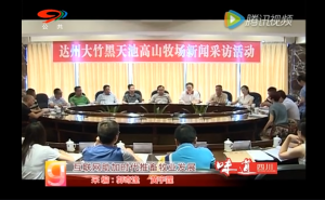 互联网助加时代推畜牧业大发展