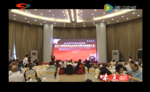 爱无疆情无界 金宫大爱慈善基金成立