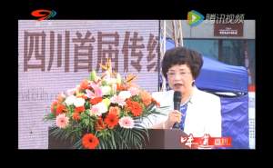 四川省传统文化促进会成立暨首届传统文化节开幕