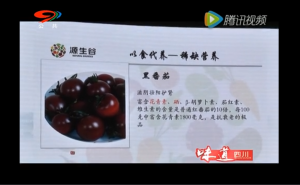 打造健康安全农产品 从生产源头抓起