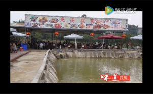 生态旅游农家乐受追捧