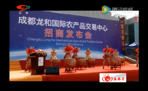 农产品交易市场亮相龙和商城