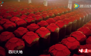 《蜀韵》——川酒文化