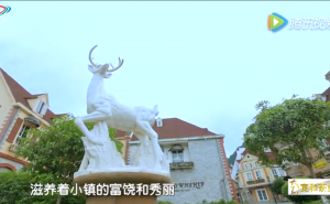 《蜀韵》——彭州市白鹿镇