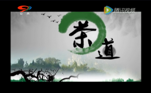 《茶道》——探讨普洱茶的文化