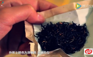 《茶道》——到雅安探究藏茶的历史