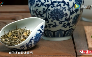 《茶道》——品春茶 鉴好茶