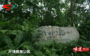 《蜀韵》——活水公园