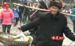 《蜀韵》——东山上来的客家人