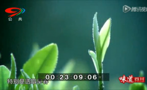 《茶道》——绿茶名品