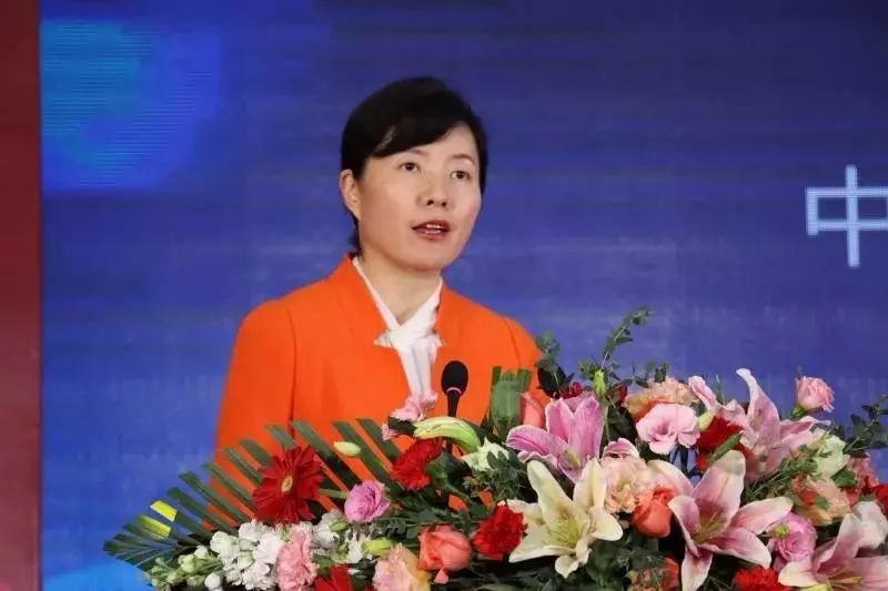 中国盐帮菜产业发展高峰论坛餐饮大咖献策 自贡将举办首届中国盐帮菜美食节(图6)