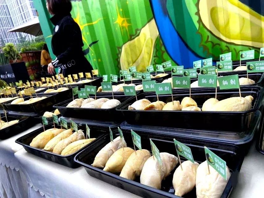 王者风范，极品品鉴，花落蓉城，猫王旗舰——庆祝“马来西亚顶级榴莲品鉴会暨猫刺·猫山王旗舰店开业典礼”在成都隆重举行！(图8)
