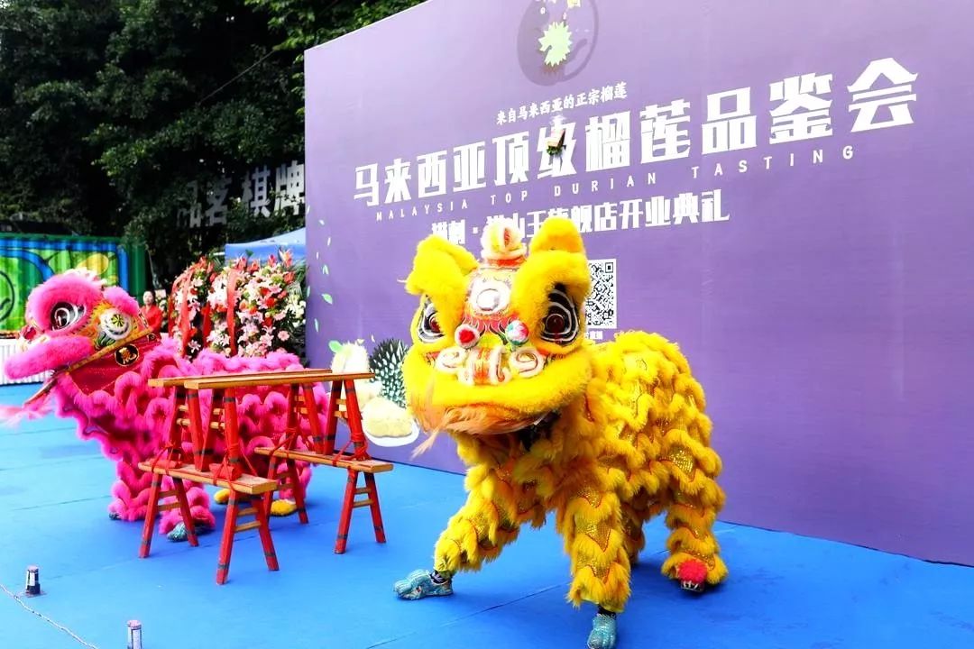 王者风范，极品品鉴，花落蓉城，猫王旗舰——庆祝“马来西亚顶级榴莲品鉴会暨猫刺·猫山王旗舰店开业典礼”在成都隆重举行！(图14)