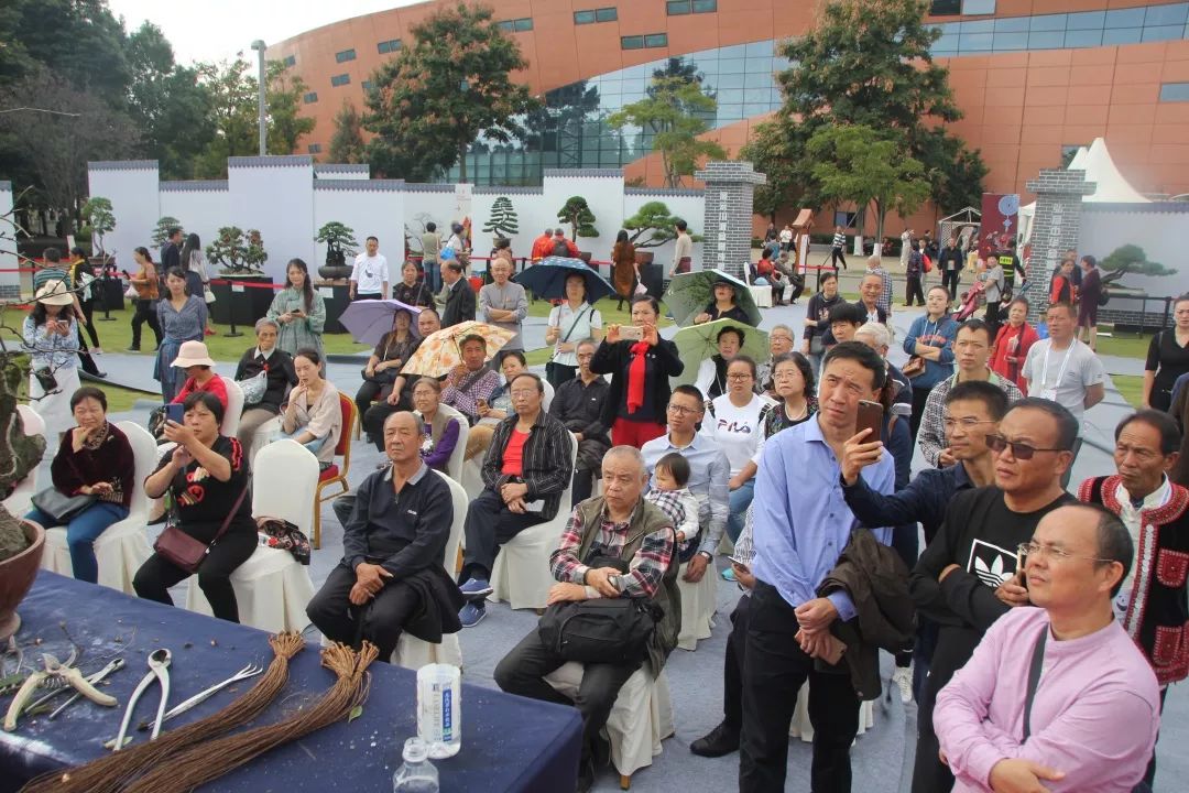 中华文化添锦绣，川派盆景铸辉煌丨川派盆景制作表演——厂矿盆协(图2)