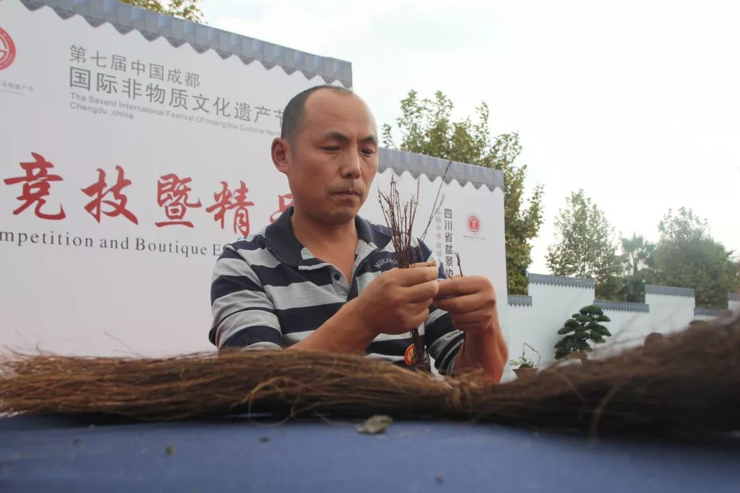 中华文化添锦绣，川派盆景铸辉煌丨川派盆景制作表演——厂矿盆协(图5)