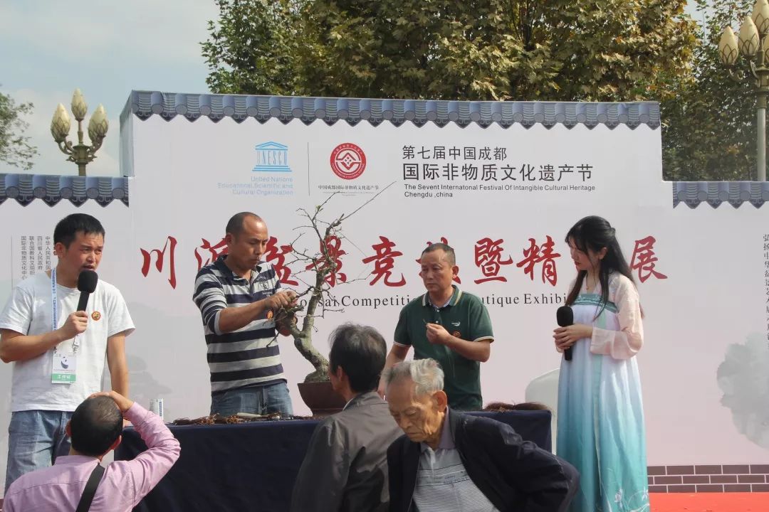 中华文化添锦绣，川派盆景铸辉煌丨川派盆景制作表演——厂矿盆协(图3)