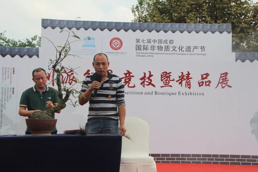中华文化添锦绣，川派盆景铸辉煌丨川派盆景制作表演——厂矿盆协(图7)