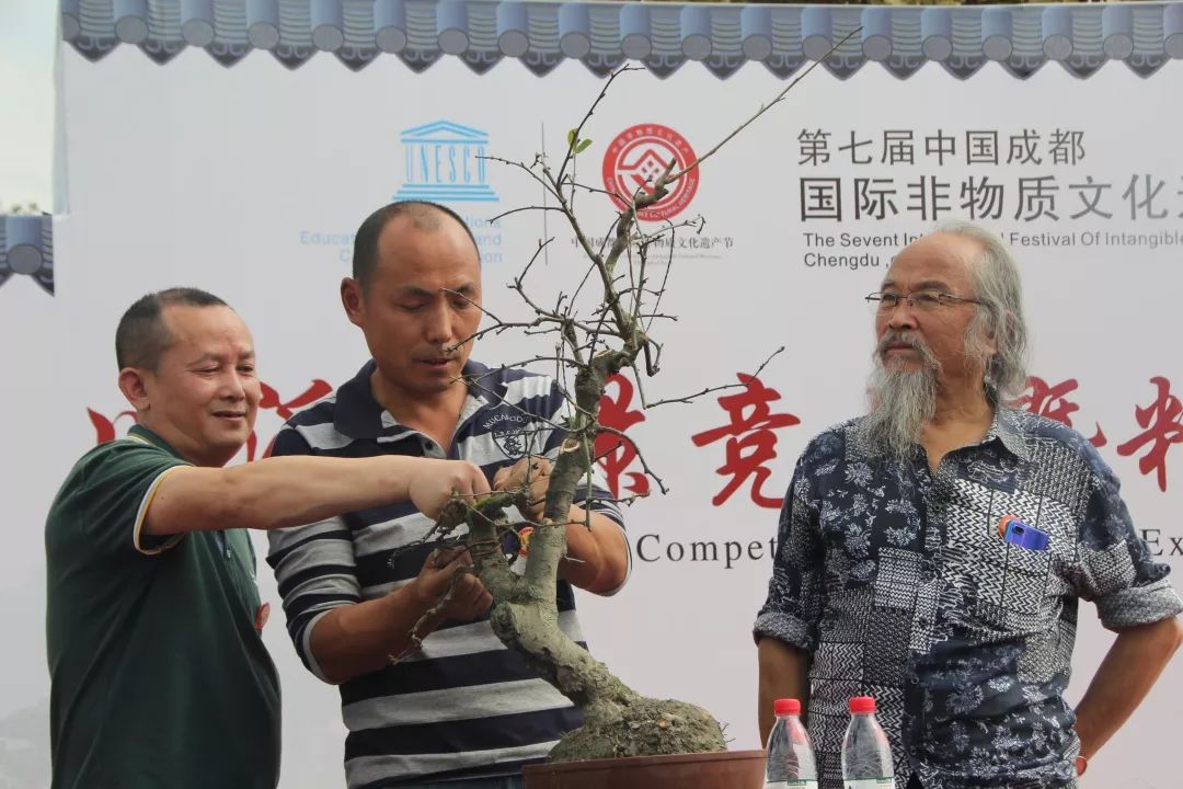 中华文化添锦绣，川派盆景铸辉煌丨川派盆景制作表演——厂矿盆协(图8)