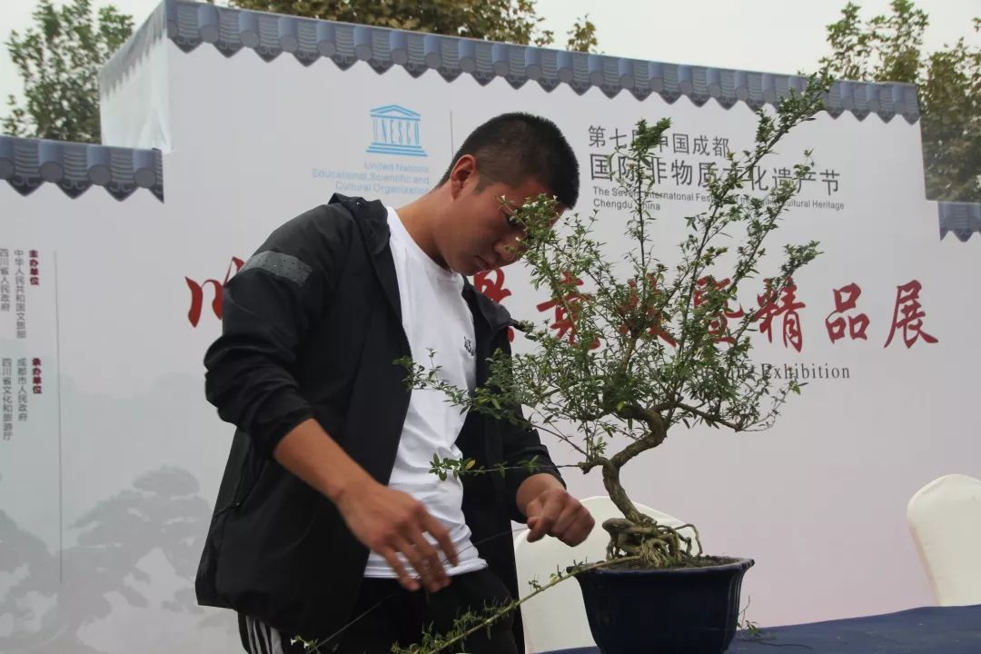中华文化添锦绣，川派盆景铸辉煌丨川派盆景制作表演——温江盆协(图6)