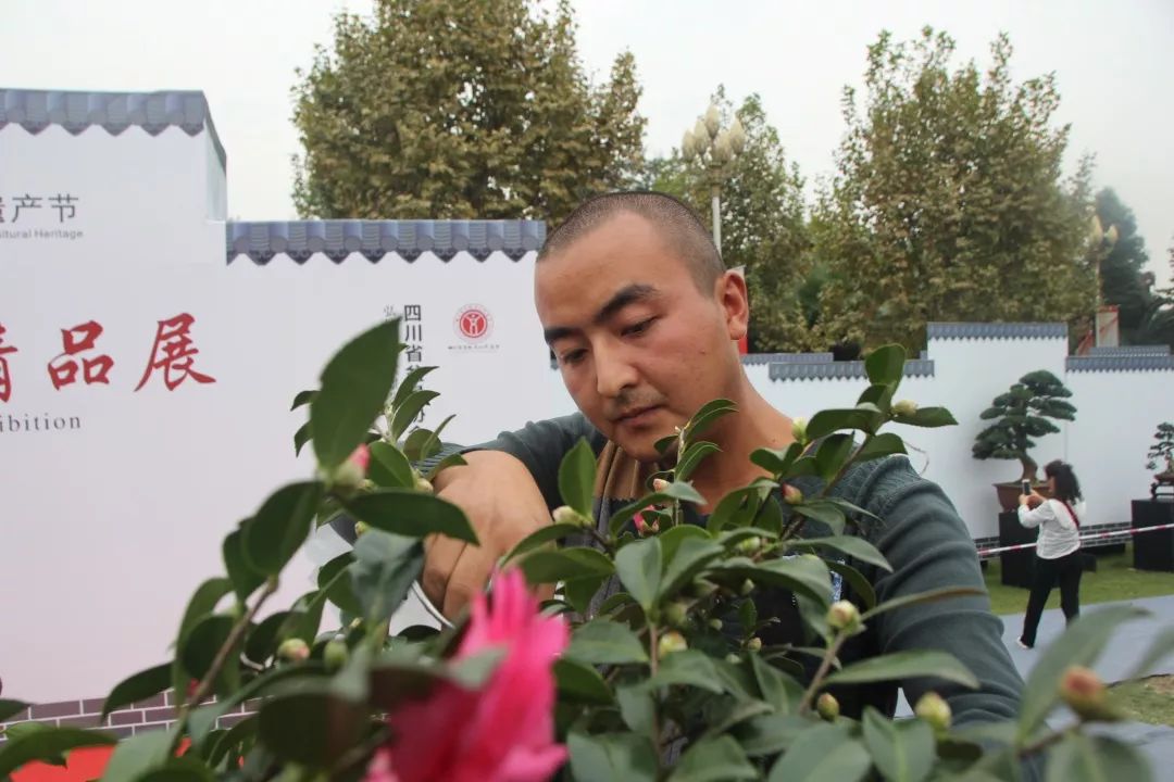 中华文化添锦绣，川派盆景铸辉煌丨川派盆景制作表演——温江盆协(图7)