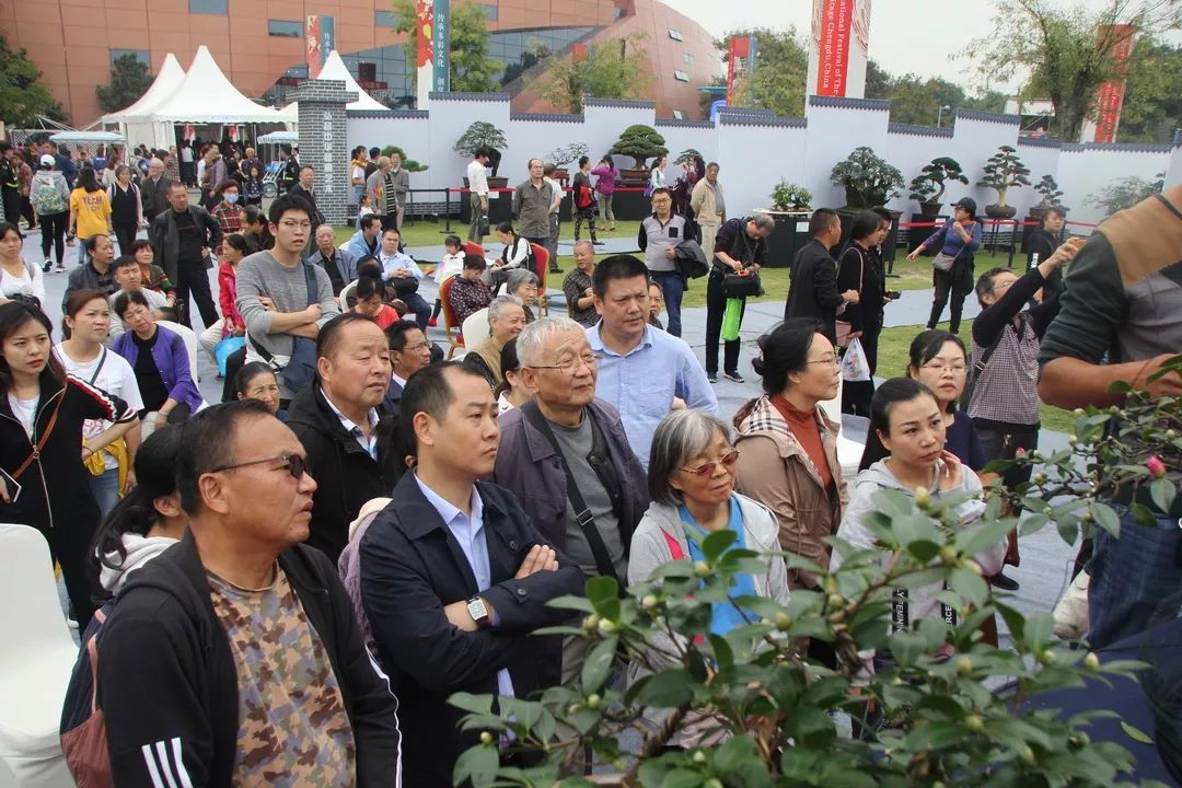 中华文化添锦绣，川派盆景铸辉煌丨川派盆景制作表演——温江盆协(图2)