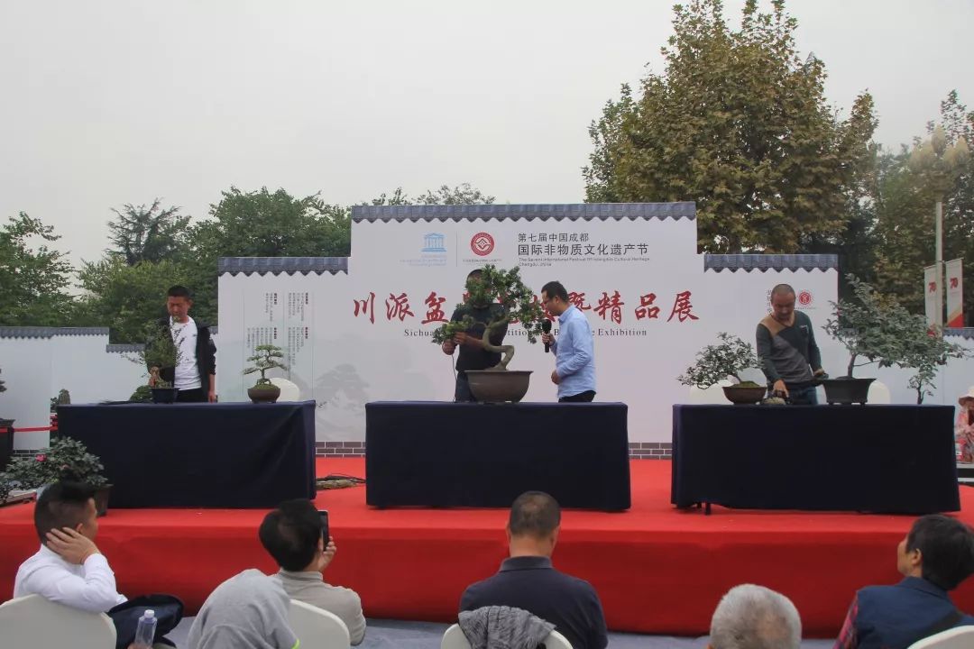 中华文化添锦绣，川派盆景铸辉煌丨川派盆景制作表演——温江盆协(图3)
