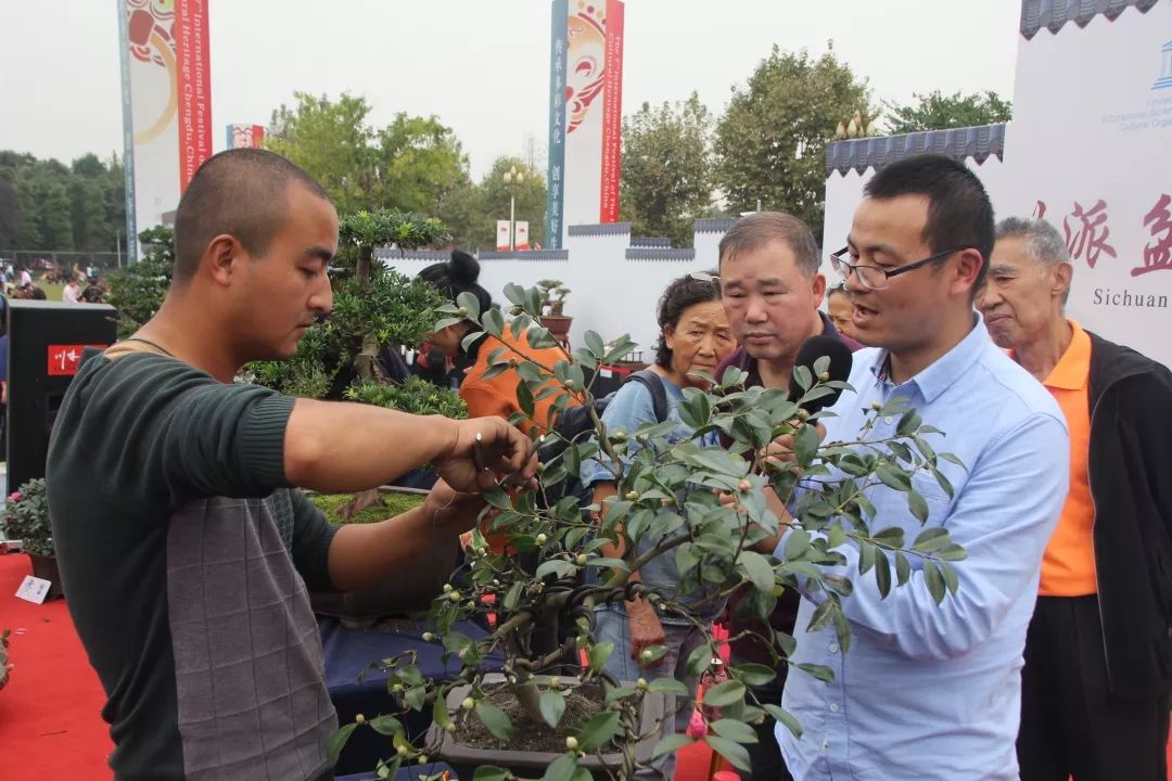 中华文化添锦绣，川派盆景铸辉煌丨川派盆景制作表演——温江盆协(图4)