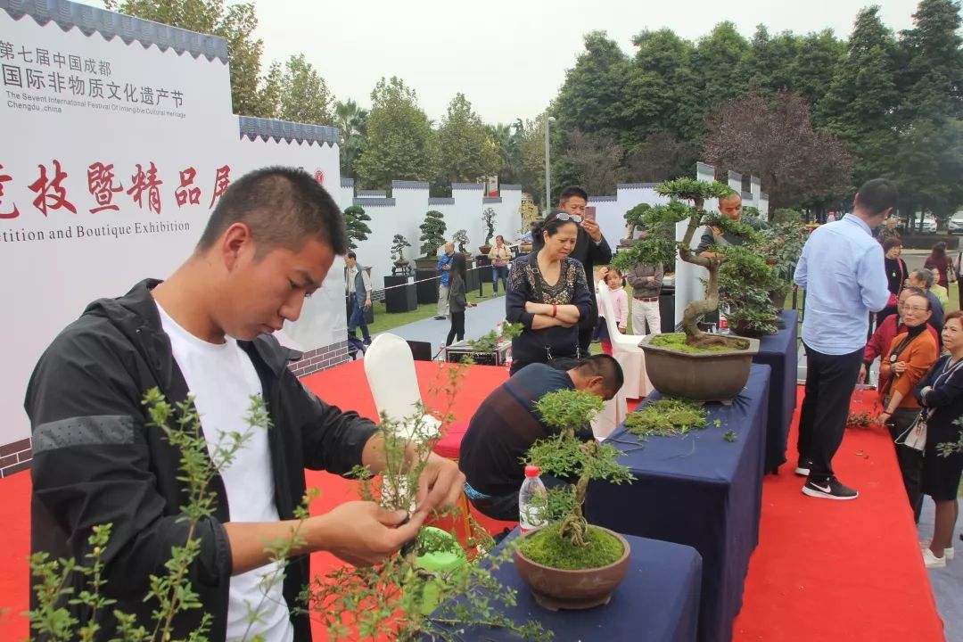 中华文化添锦绣，川派盆景铸辉煌丨川派盆景制作表演——温江盆协(图8)