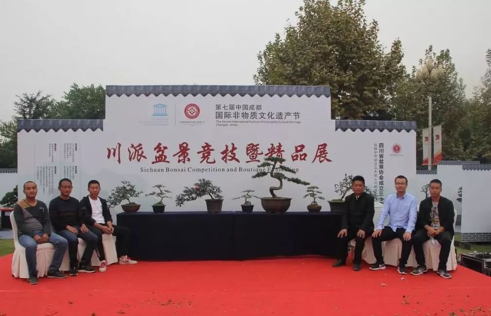 中华文化添锦绣，川派盆景铸辉煌丨川派盆景制作表演——温江盆协(图9)
