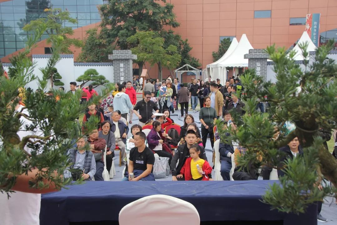 中华文化添锦绣，川派盆景铸辉煌丨川派盆景制作表演——郫县盆协(图2)