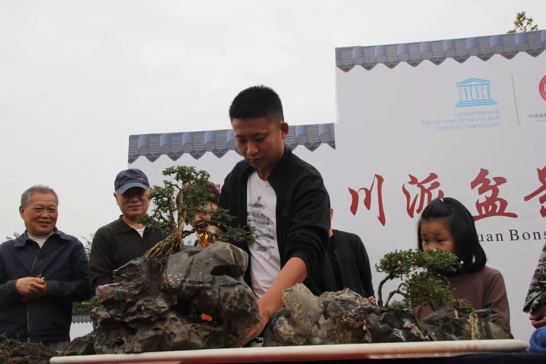 中华文化添锦绣，川派盆景铸辉煌丨川派盆景制作表演——郫县盆协(图4)