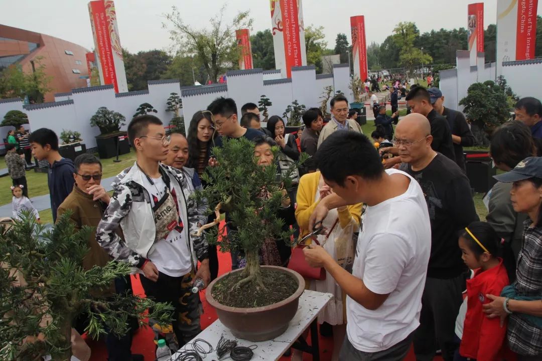 中华文化添锦绣，川派盆景铸辉煌丨川派盆景制作表演——郫县盆协(图7)