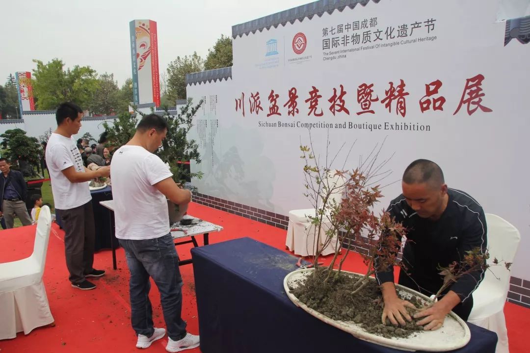 中华文化添锦绣，川派盆景铸辉煌丨川派盆景制作表演——郫县盆协(图8)