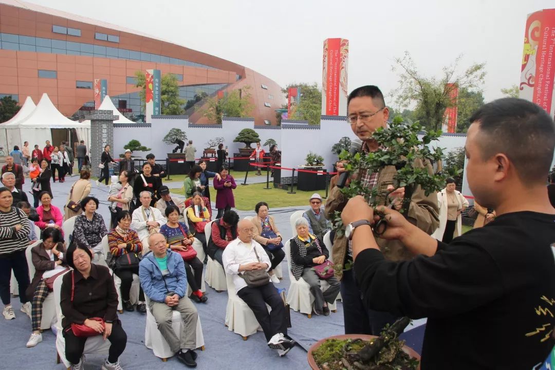 中华文化添锦绣，川派盆景铸辉煌丨川派盆景制作表演——都江堰安龙盆协(图2)