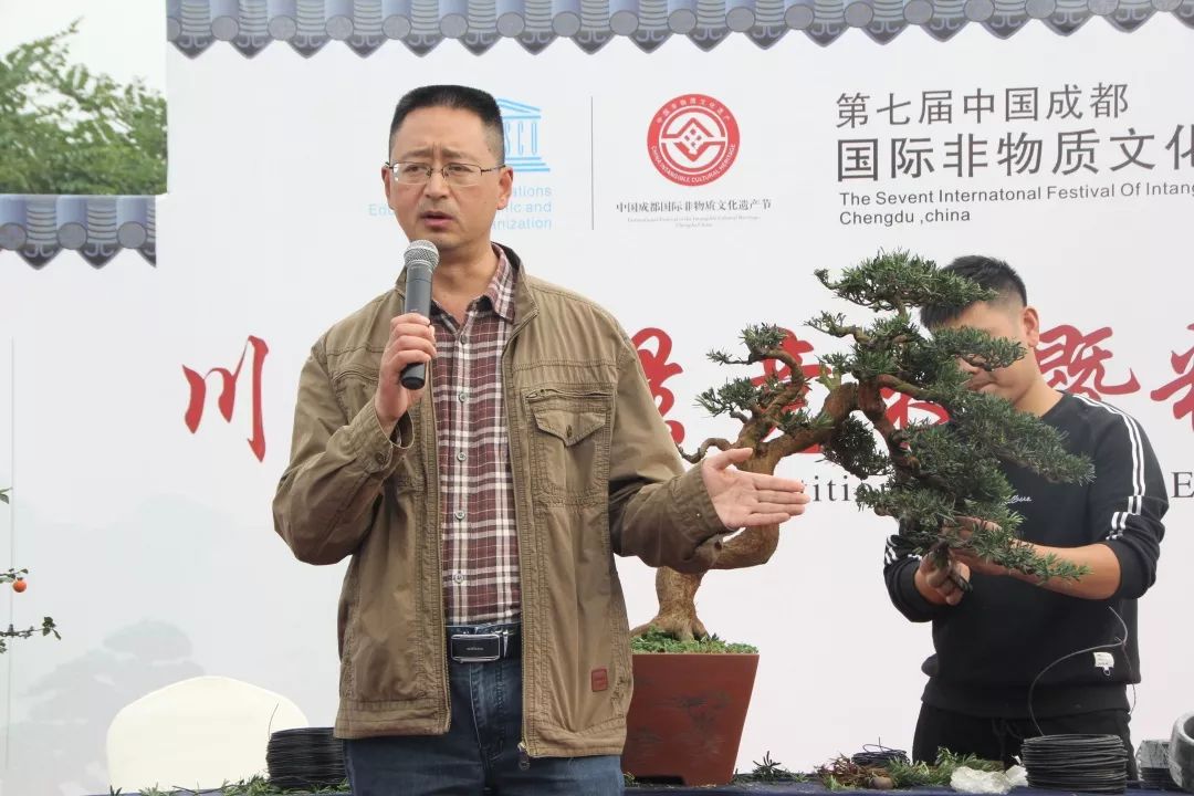 中华文化添锦绣，川派盆景铸辉煌丨川派盆景制作表演——都江堰安龙盆协(图3)