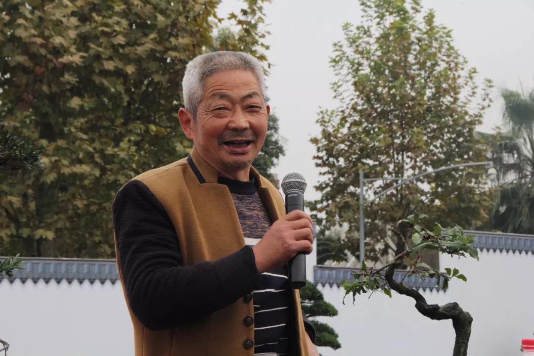 中华文化添锦绣，川派盆景铸辉煌丨川派盆景制作表演——都江堰安龙盆协(图5)