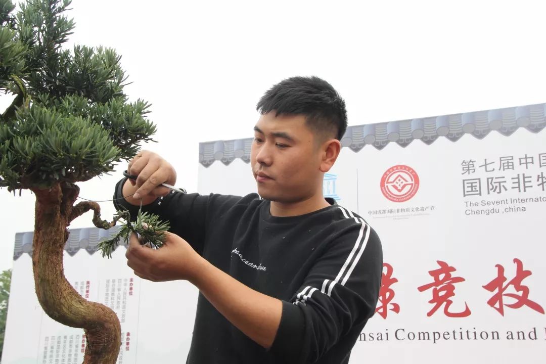 中华文化添锦绣，川派盆景铸辉煌丨川派盆景制作表演——都江堰安龙盆协(图7)