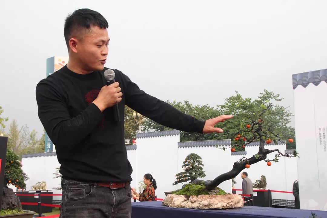 中华文化添锦绣，川派盆景铸辉煌丨川派盆景制作表演——都江堰安龙盆协(图8)