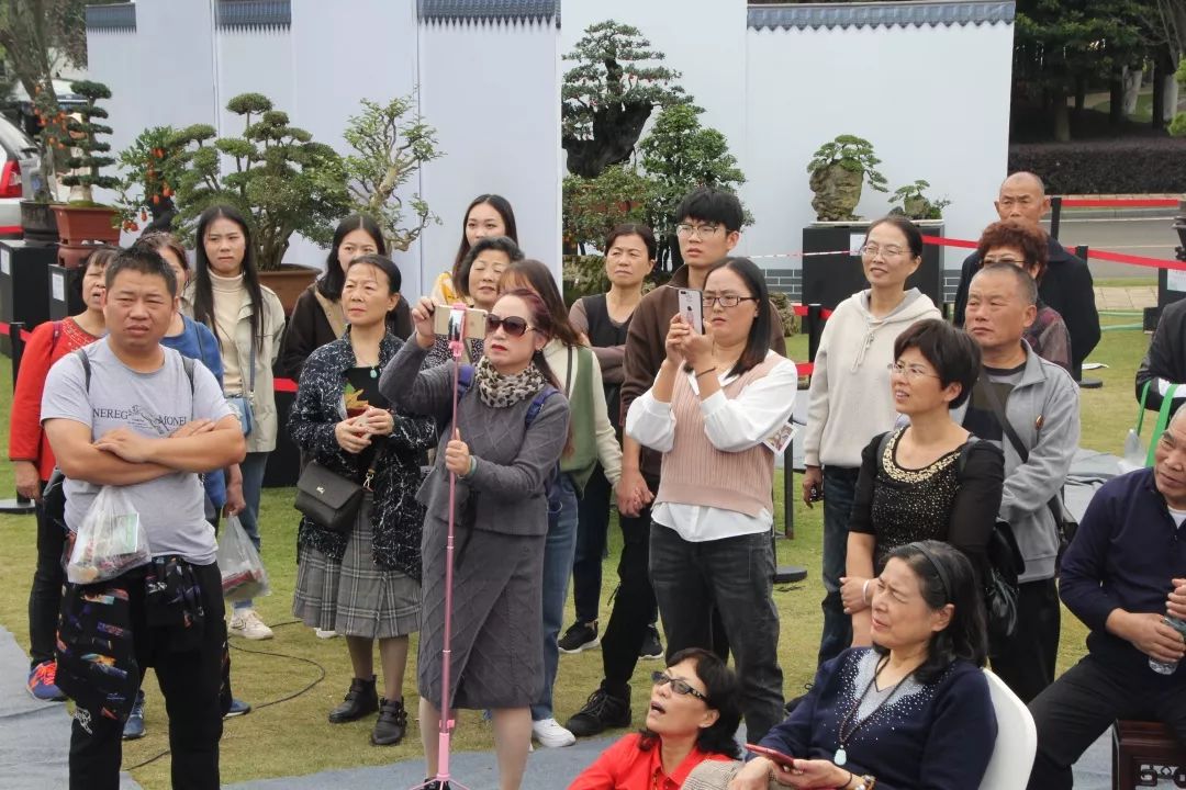 中华文化添锦绣，川派盆景铸辉煌丨川派盆景制作表演——邛崃市花木盆协(图2)