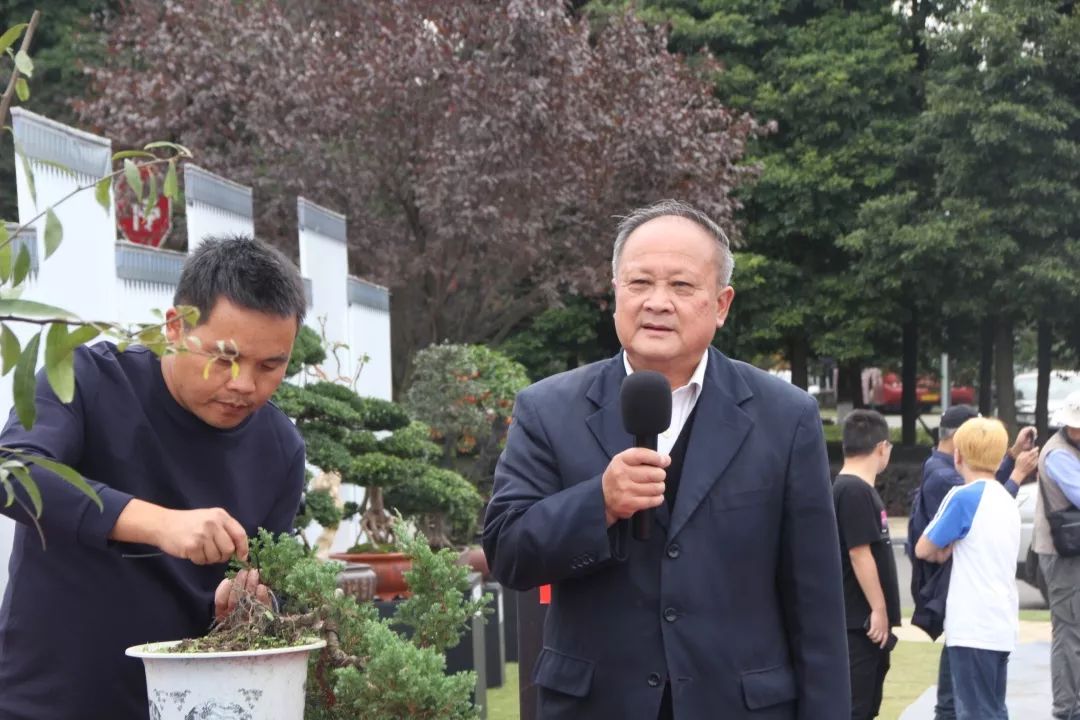 中华文化添锦绣，川派盆景铸辉煌丨川派盆景制作表演——邛崃市花木盆协(图3)