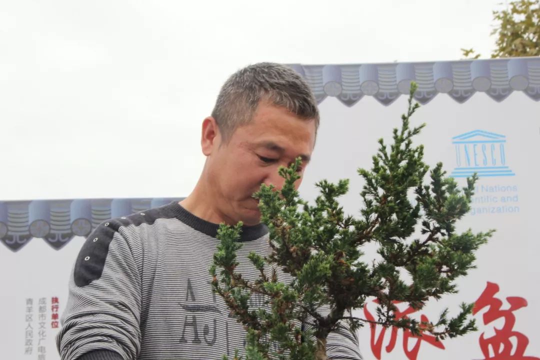 中华文化添锦绣，川派盆景铸辉煌丨川派盆景制作表演——邛崃市花木盆协(图5)