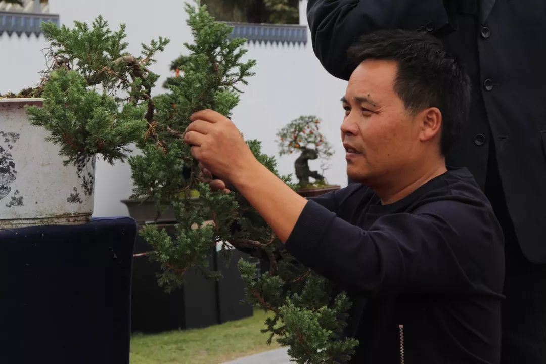 中华文化添锦绣，川派盆景铸辉煌丨川派盆景制作表演——邛崃市花木盆协(图6)