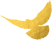 中华文化添锦绣 川派盆景铸辉煌——川派盆景精品展昨日盛大开幕！(图1)