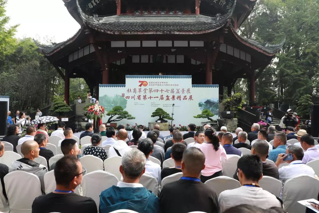 中华文化添锦绣 川派盆景铸辉煌——川派盆景精品展昨日盛大开幕！(图3)