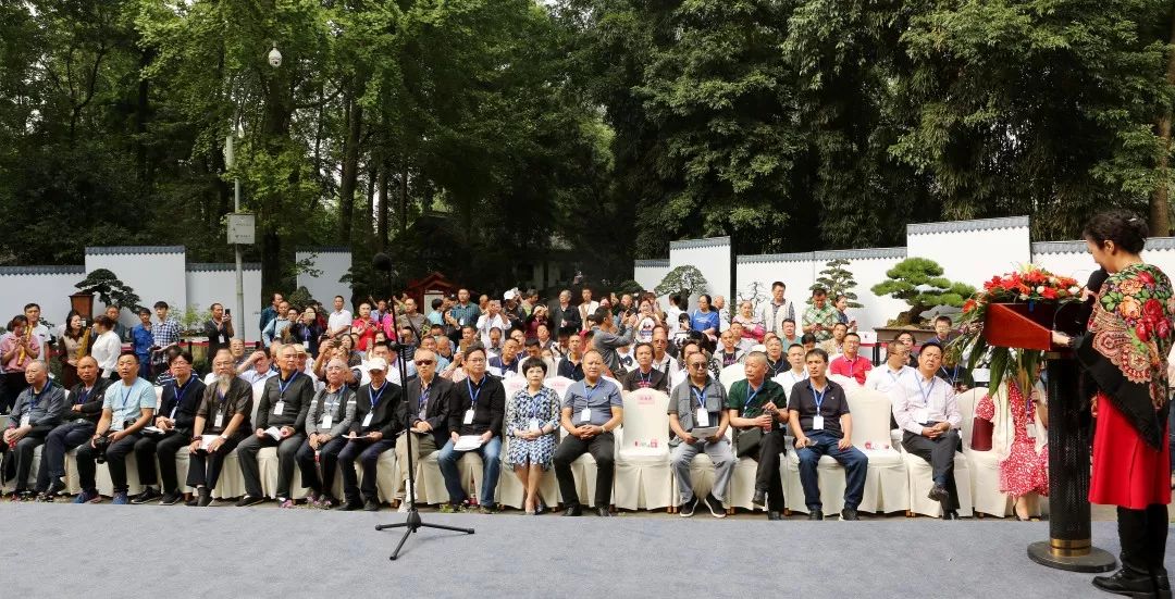 中华文化添锦绣 川派盆景铸辉煌——川派盆景精品展昨日盛大开幕！(图4)